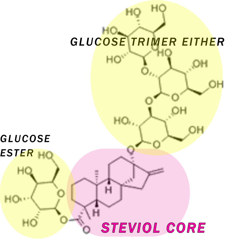 stevia structure